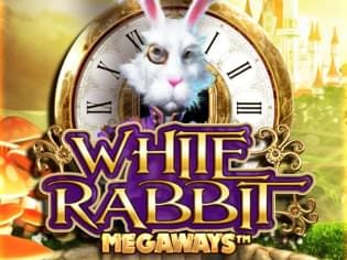White Rabbit icon